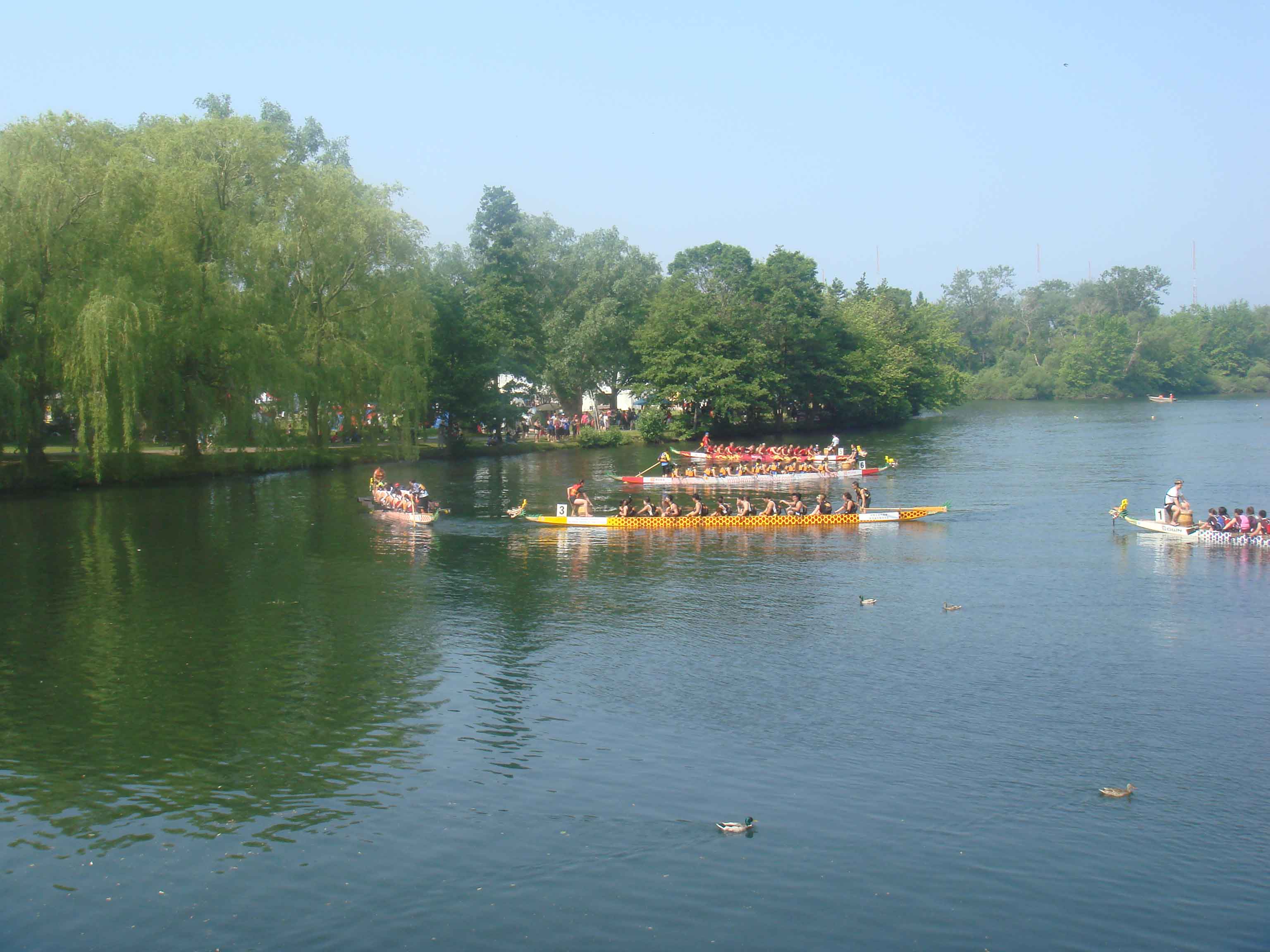 TorontoDragonBoatRace2013